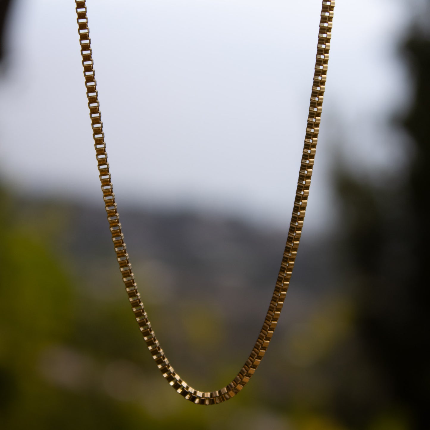 Box Chain 2mm (Gold)