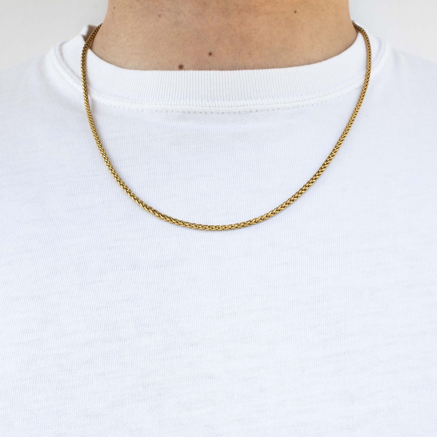 Foxtail Chain 2.5mm (Gold)